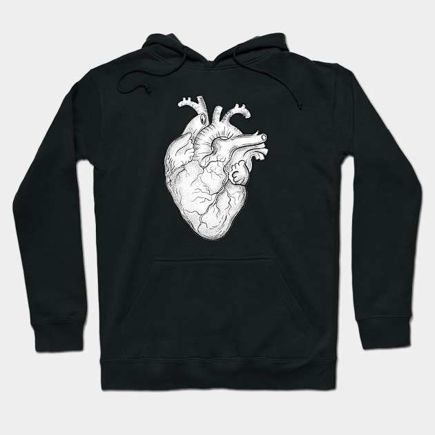 Anatomical Heart 12 Hoodie by Collagedream